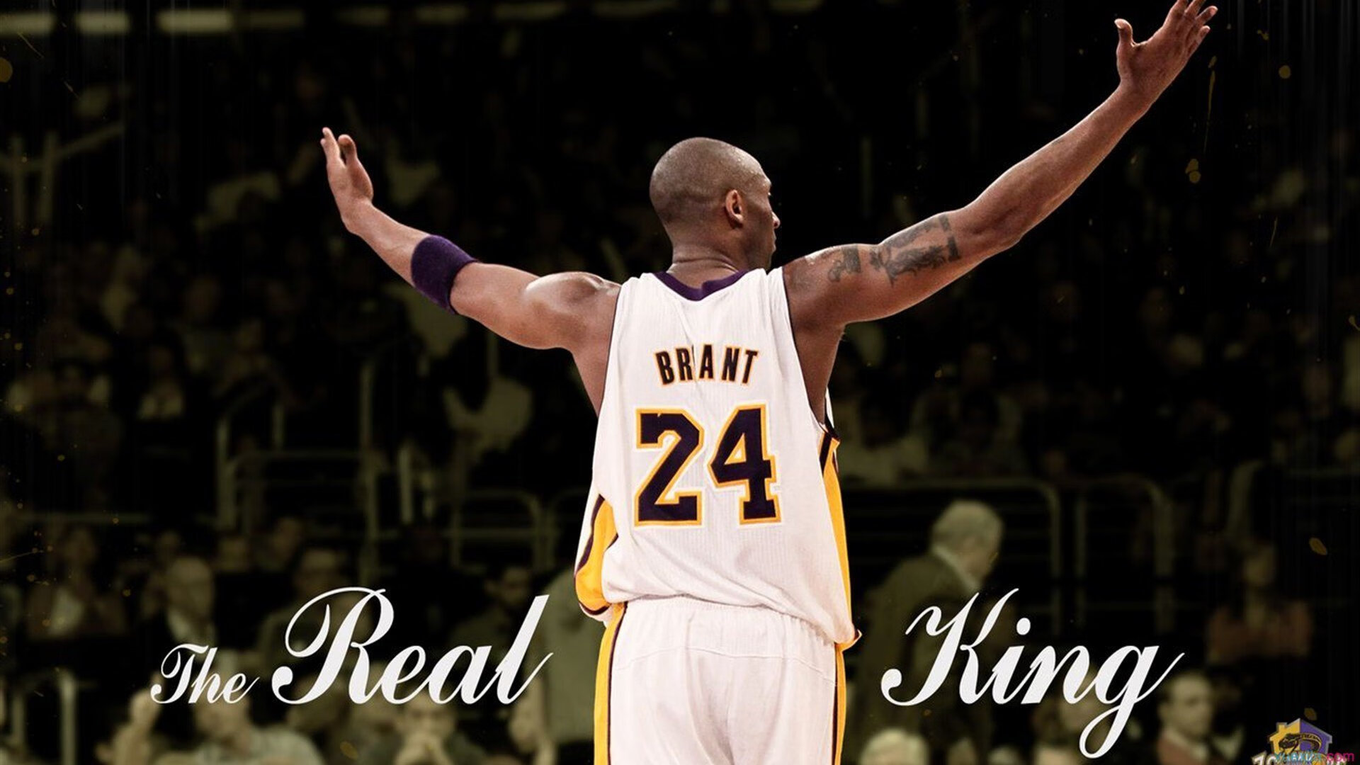 窒息式防守颠覆认知！掘金用反潮流铁血策略锁死公牛，夺冠之路豁然开朗